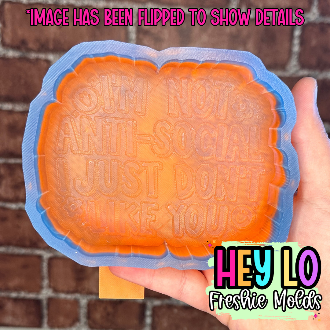 I Just Don't Like You Silicone Mold