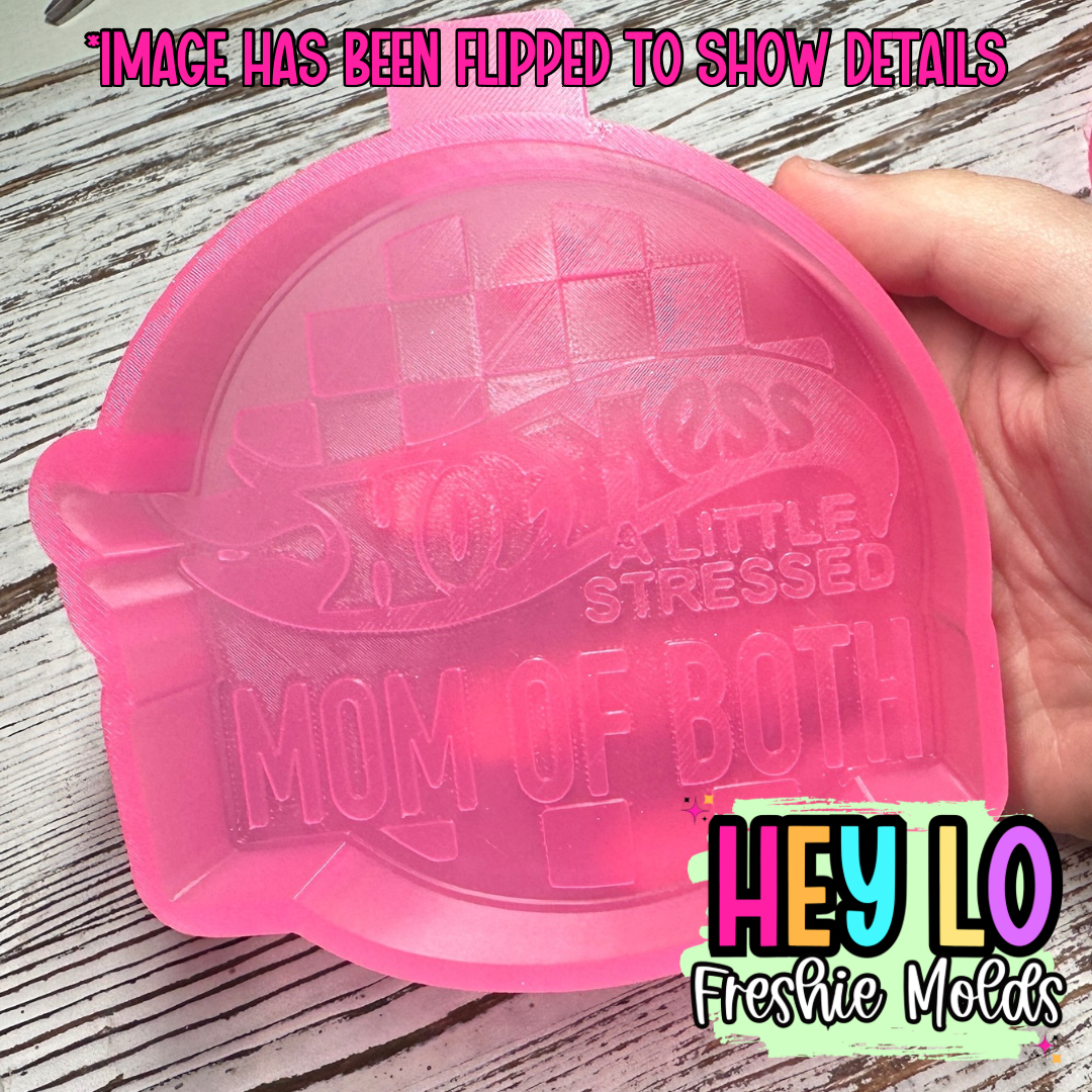 Hot Mess Mom of Both Silicone Mold