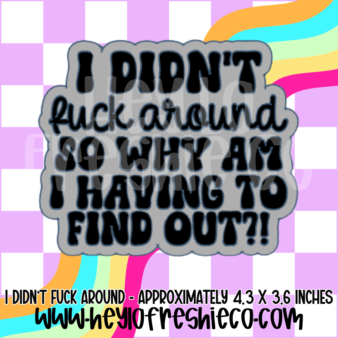 I Didn't Fuck Around Why Am I Having To Find Out Silicone Mold