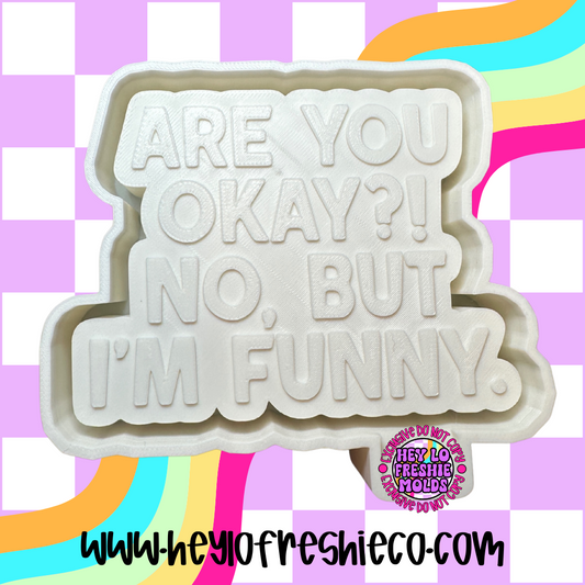 Are You Okay? No, But I'm Funny Silicone Mold