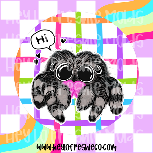 Round Cardstock | Cute Jumping Spider