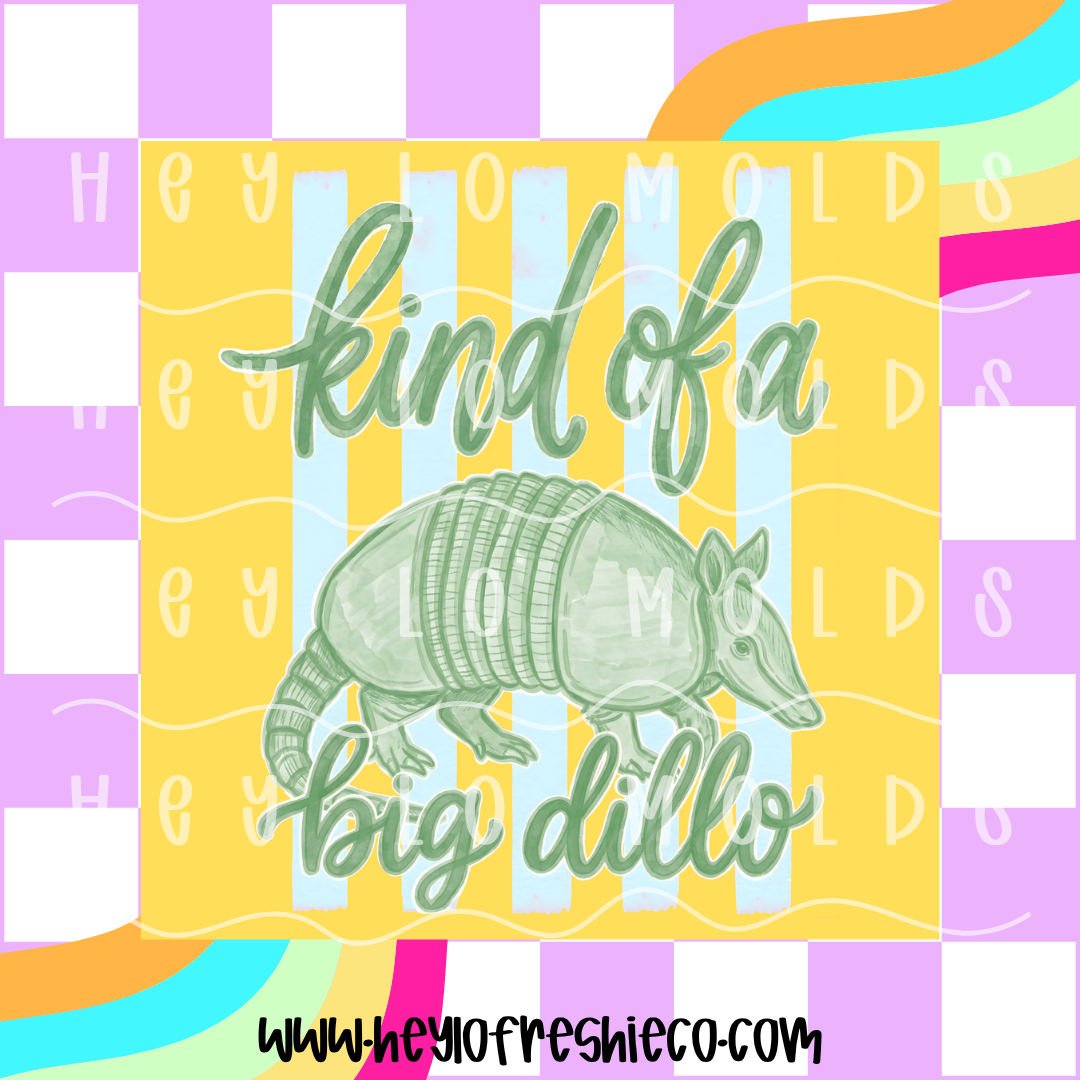 Square Cardstock | Kind Of A Big Dillo