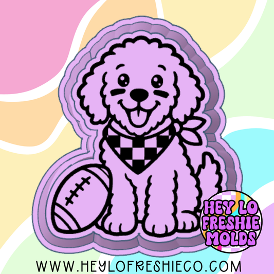 Football Doodle Silicone Mold