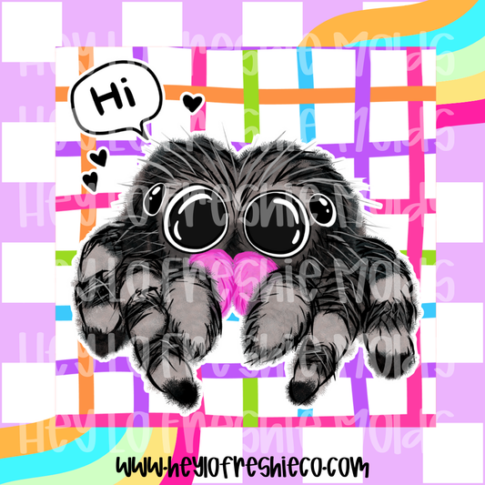 Square Cardstock | Cute Jumping Spider