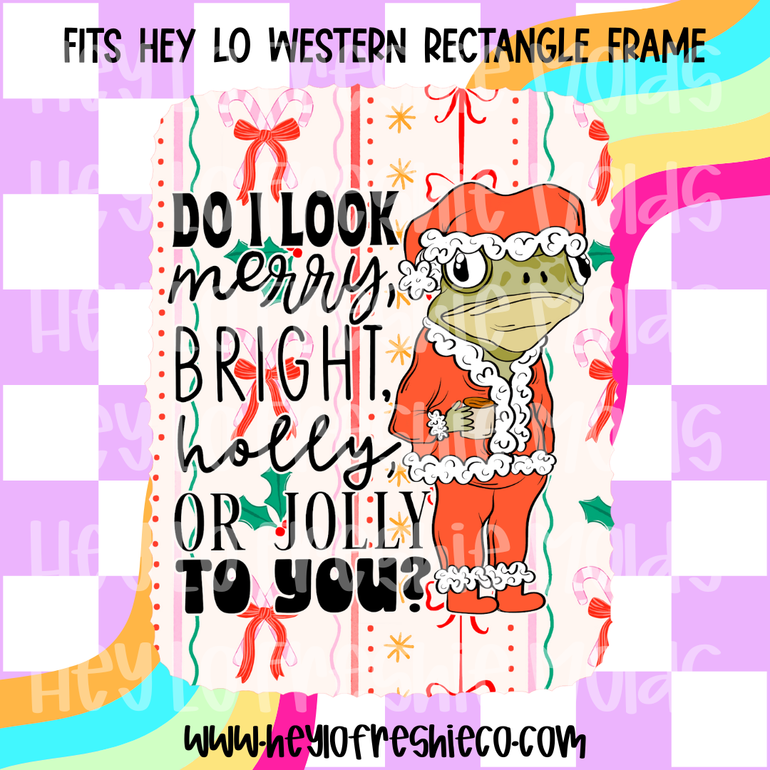 Pick Your Own Cardstock | Western Rectangle Do I Look Merry Frog