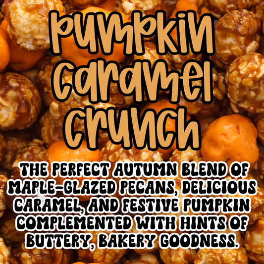 Pumpkin Caramel Crunch Freshie Beads (16 OZ)