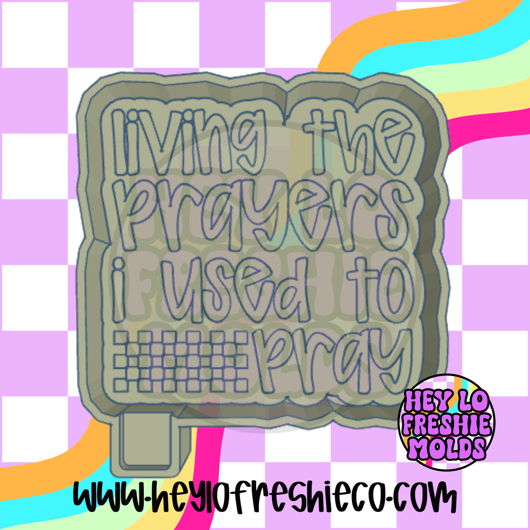Living The Prayers I Used To Pray Silicone Mold